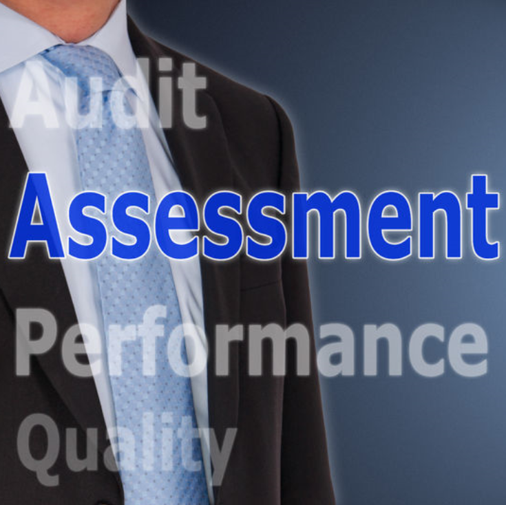 word assessment is highlighted among audit, performance, and quality with business man in background